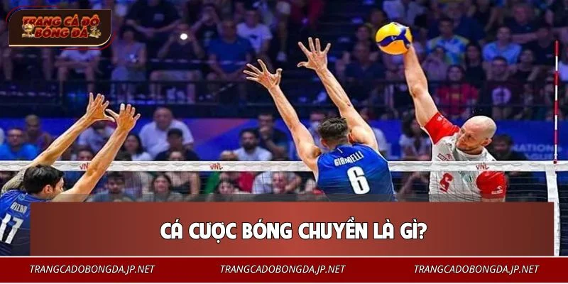 Cá Cược Bóng Chuyền - Hướng Dẫn Chi Tiết Cho Người Chơi Mới Cá cược bóng chuyền hiện là bộ môn được yêu thích nhất