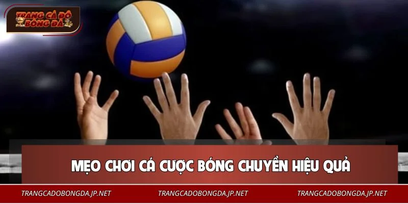 Cá Cược Bóng Chuyền - Hướng Dẫn Chi Tiết Cho Người Chơi Mới Chiến lược cá cược bóng chuyền dễ dàng ăn đậm