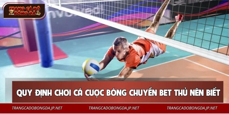 Cá Cược Bóng Chuyền - Hướng Dẫn Chi Tiết Cho Người Chơi Mới Quy tắc cá cược bóng chuyền cơ bản cho người mới