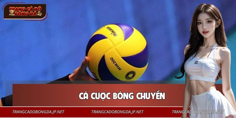 Cá Cược Bóng Chuyền - Hướng Dẫn Chi Tiết Cho Người Chơi Mới Cá Cược Bóng Chuyền - Hướng Dẫn Chi Tiết Cho Người Chơi Mới