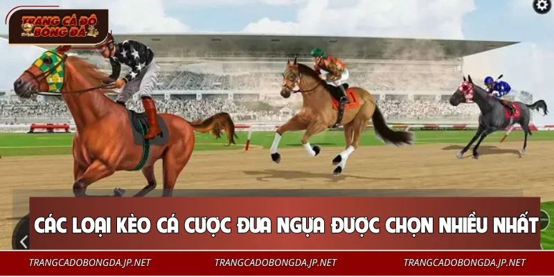 Cá Cược Đua Ngựa - Bí Quyết Soi Kèo Từ Các Cao Thủ Lâu Năm Một vài kinh nghiệm cá cược đua ngựa cực hay