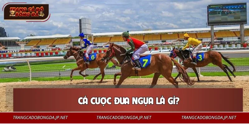 Cá Cược Đua Ngựa - Bí Quyết Soi Kèo Từ Các Cao Thủ Lâu Năm Cá cược đua ngựa là hình thức giải trí phổ biến