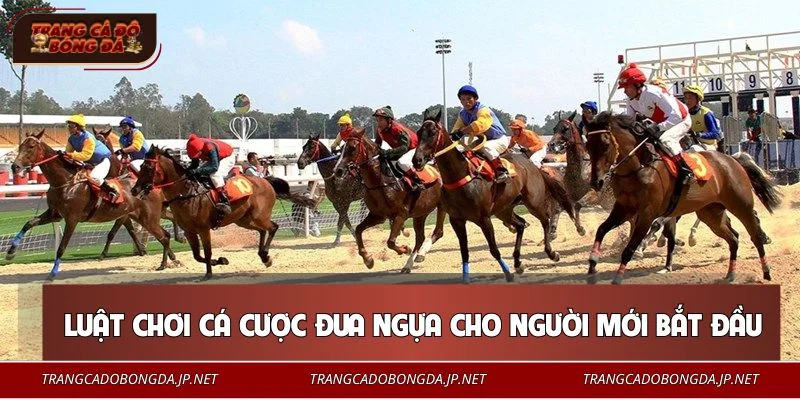 Cá Cược Đua Ngựa - Bí Quyết Soi Kèo Từ Các Cao Thủ Lâu Năm Tìm hiểu chi tiết luật chơi cá cược đua ngựa