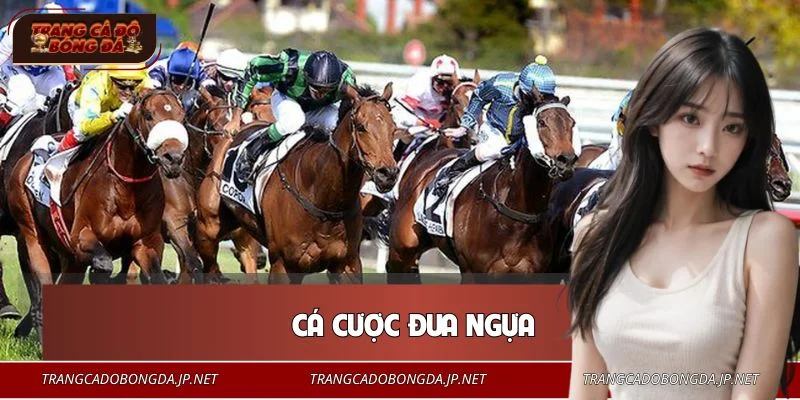 Cá Cược Đua Ngựa - Bí Quyết Soi Kèo Từ Các Cao Thủ Lâu Năm Cá Cược Đua Ngựa - Bí Quyết Soi Kèo Từ Các Cao Thủ Lâu Năm