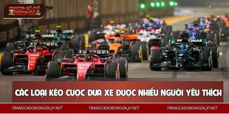 Cá Cược Đua Xe - Hướng Dẫn Chơi An Toàn, Hiệu Quả Cho Bạn Những kèo đua xe được nhiều người tin chọn