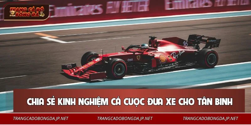 Cá Cược Đua Xe - Hướng Dẫn Chơi An Toàn, Hiệu Quả Cho Bạn Mẹo cá cược đua xe dành cho người mới bắt đầu