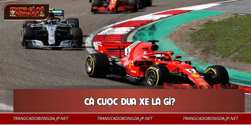 Cá Cược Đua Xe - Hướng Dẫn Chơi An Toàn, Hiệu Quả Cho Bạn Cá cược đua xe là loại hình giải trí khá quen thuộc