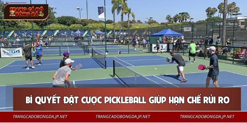 Cá Cược Pickleball - Mẹo Xuống Tiền Dễ Dàng Cho Tân Binh Mẹo cá cược Pickleball an toàn, giảm thiểu rủi ro