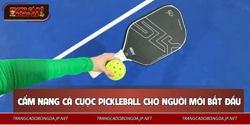 Cá Cược Pickleball - Mẹo Xuống Tiền Dễ Dàng Cho Tân Binh Hướng dẫn tham gia cá cược Pickleball cho tân thủ