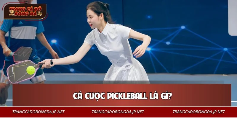 Cá Cược Pickleball - Mẹo Xuống Tiền Dễ Dàng Cho Tân Binh Bộ môn cá cược Pickleball còn mới mẻ với nhiều người