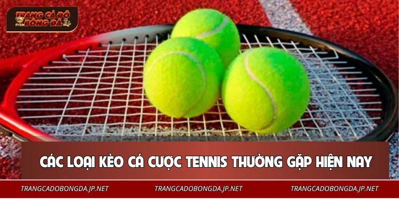 Cá Cược Tennis - Kiến Thức Xuống Tiền Cho Mọi Tân Binh Tổng hợp các loại cược tennis được ưa chuộng