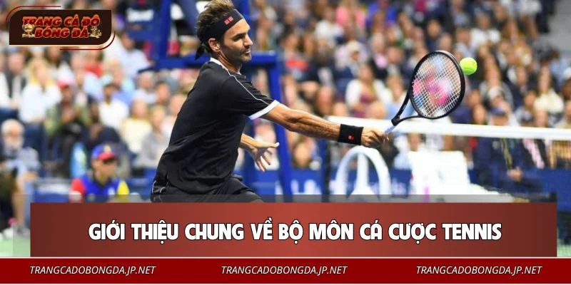 Cá Cược Tennis - Kiến Thức Xuống Tiền Cho Mọi Tân Binh Cá cược tennis là hình thức giải trí quen thuộc