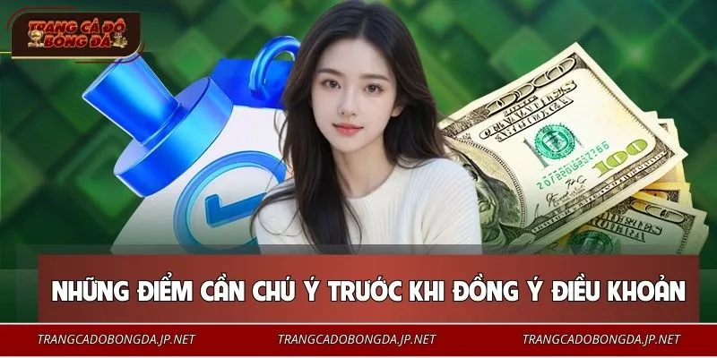 Điều Khoản Dịch Vụ Những điểm cần chú ý trước khi đồng ý điều khoản trang