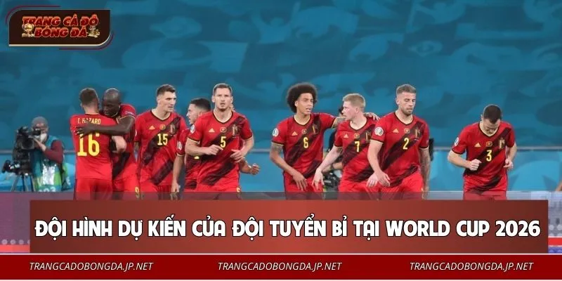 Đội Tuyển Bỉ Và Chiến Dịch Săn Cúp Vàng World Cup Cực Cháy Tuyển Bỉ cấu trúc nhân sự đa dạng và tính cạnh tranh cao