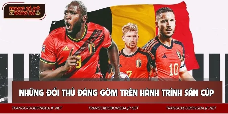 Đội Tuyển Bỉ Và Chiến Dịch Săn Cúp Vàng World Cup Cực Cháy Nhiều thử thách chờ đợi đội tuyển Bỉ phía trước