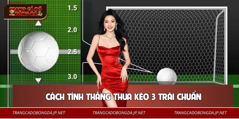 Kèo Tài Xỉu 3 Trái | Mốc Tỷ Lệ Cân Não Dễ Thắng Nhất Hướng dẫn cách tính tiền cược 3 trái chuẩn chỉnh