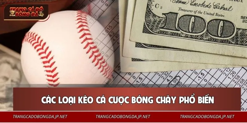 Cá Cược Bóng Chày - Số Liệu Biết Nói, Kịch Tính Tăng Cao Hệ thống kèo bóng chày cực phong phú