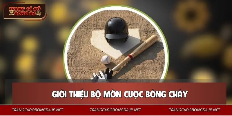 Cá Cược Bóng Chày - Số Liệu Biết Nói, Kịch Tính Tăng Cao Tổng quan về sân cược bóng chày