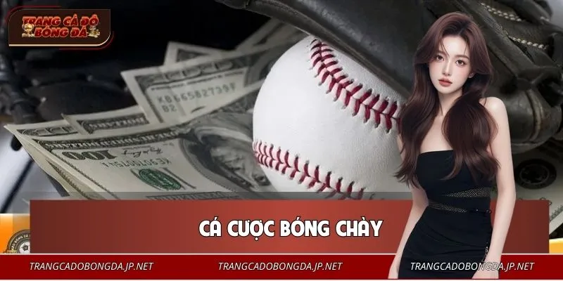 Cá Cược Bóng Chày - Số Liệu Biết Nói, Kịch Tính Tăng Cao Cá Cược Bóng Chày: Số Liệu Biết Nói, Kịch Tính Tăng Cao