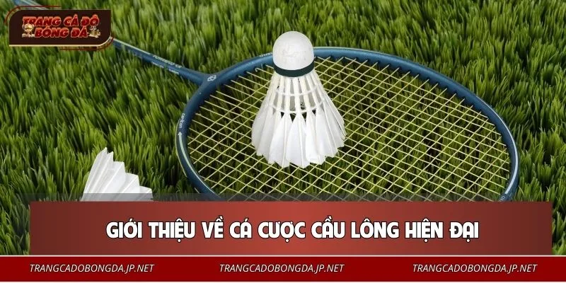 Cá Cược Cầu Lông - Bí Quyết Đọc Kèo Nhanh, Theo Trận Chuẩn Sân chơi cầu lông cực Hot