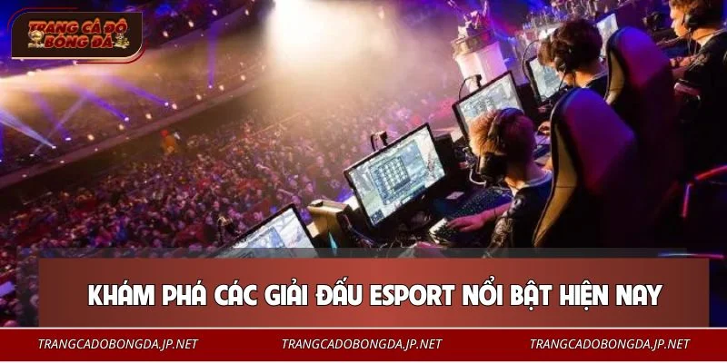 Cá Cược Esport – Lựa Chọn Giải Trí Mới Cho Người Yêu Game Điểm qua những giải đấu cá cược Esport đình đám