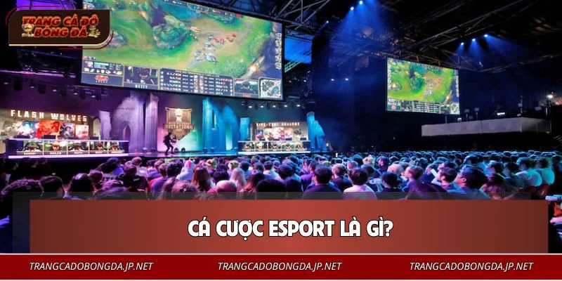 Cá Cược Esport – Lựa Chọn Giải Trí Mới Cho Người Yêu Game Game thủ nên hiểu rõ khái niệm cá cược Esport