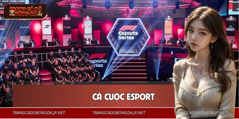 Cá Cược Esport – Lựa Chọn Giải Trí Mới Cho Người Yêu Game Cá Cược Esport – Lựa Chọn Giải Trí Mới Cho Người Yêu Game