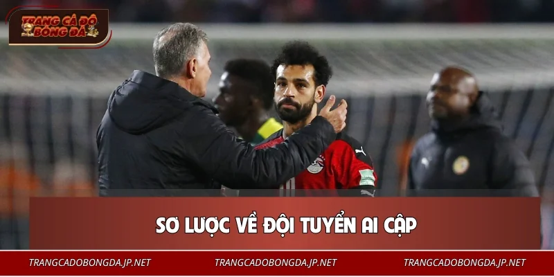 Đội Tuyển Ai Cập – Chuẩn Mực Thành Tích Các Giải Châu Lục 2026 Sơ lược về đội tuyển Ai Cập