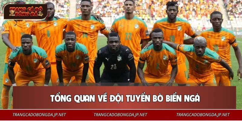 Đội Tuyển Bờ Biển Ngà – Đội Bóng Giàu Thể Lực Và Bản Lĩnh Số 1 Đội tuyển Bờ Biển Ngà là nơi sản sinh nhiều ngôi sao bóng đá hàng đầu châu Phi
