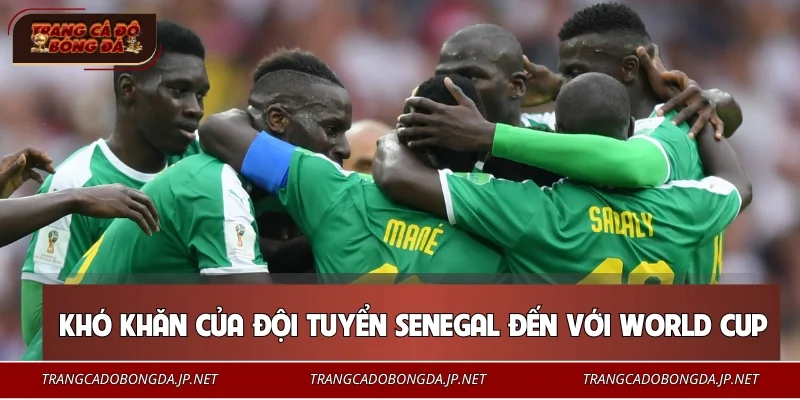 Đội Tuyển Senegal – Biểu Tượng Sức Mạnh Bóng Đá Châu Phi 2026 Khó khăn của đội tuyển Senegal đến với World Cup