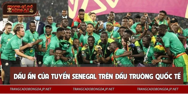 Đội Tuyển Senegal – Biểu Tượng Sức Mạnh Bóng Đá Châu Phi 2026 Dấu ấn của tuyển Senegal trên đấu trường quốc tế