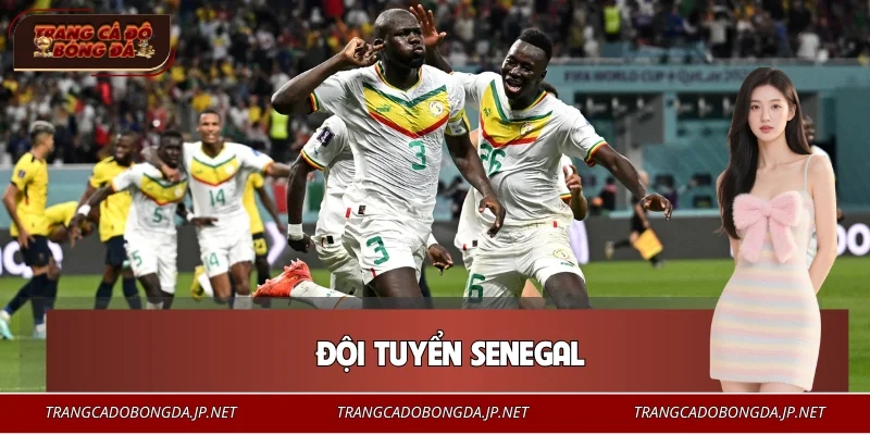 Đội Tuyển Senegal – Biểu Tượng Sức Mạnh Bóng Đá Châu Phi 2026 Đội Tuyển Senegal – Biểu Tượng Sức Mạnh Bóng Đá Châu Phi