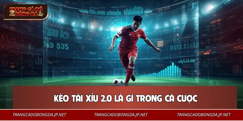 Kèo Tài Xỉu 2 Trái Là Gì? Mẹo Để Cá Độ Bóng Đá Bất Bại Hiểu về kèo tài xỉu 2 trái